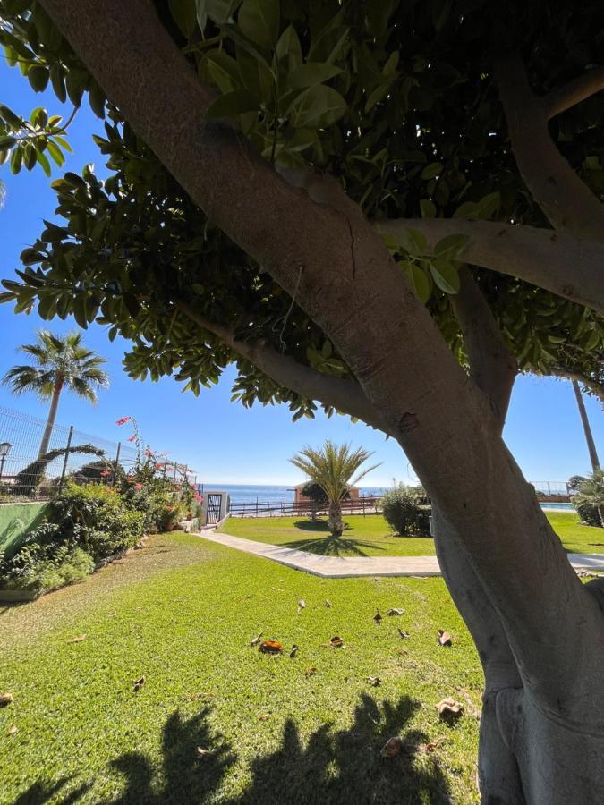 מאלגה Studio On The Beach Front מראה חיצוני תמונה