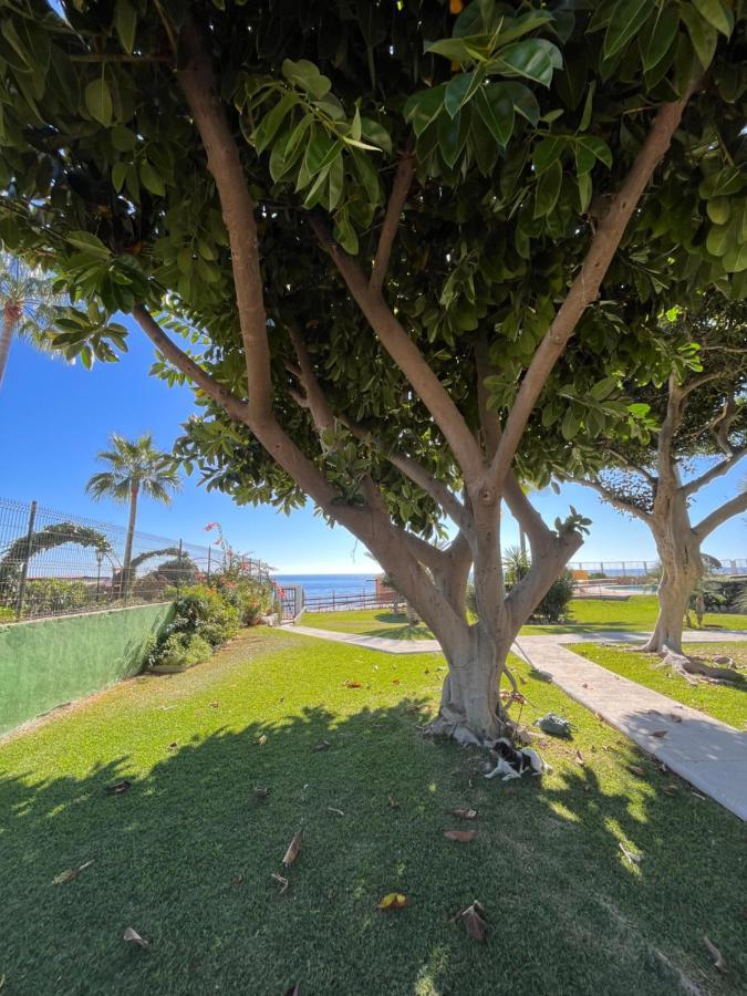 מאלגה Studio On The Beach Front מראה חיצוני תמונה