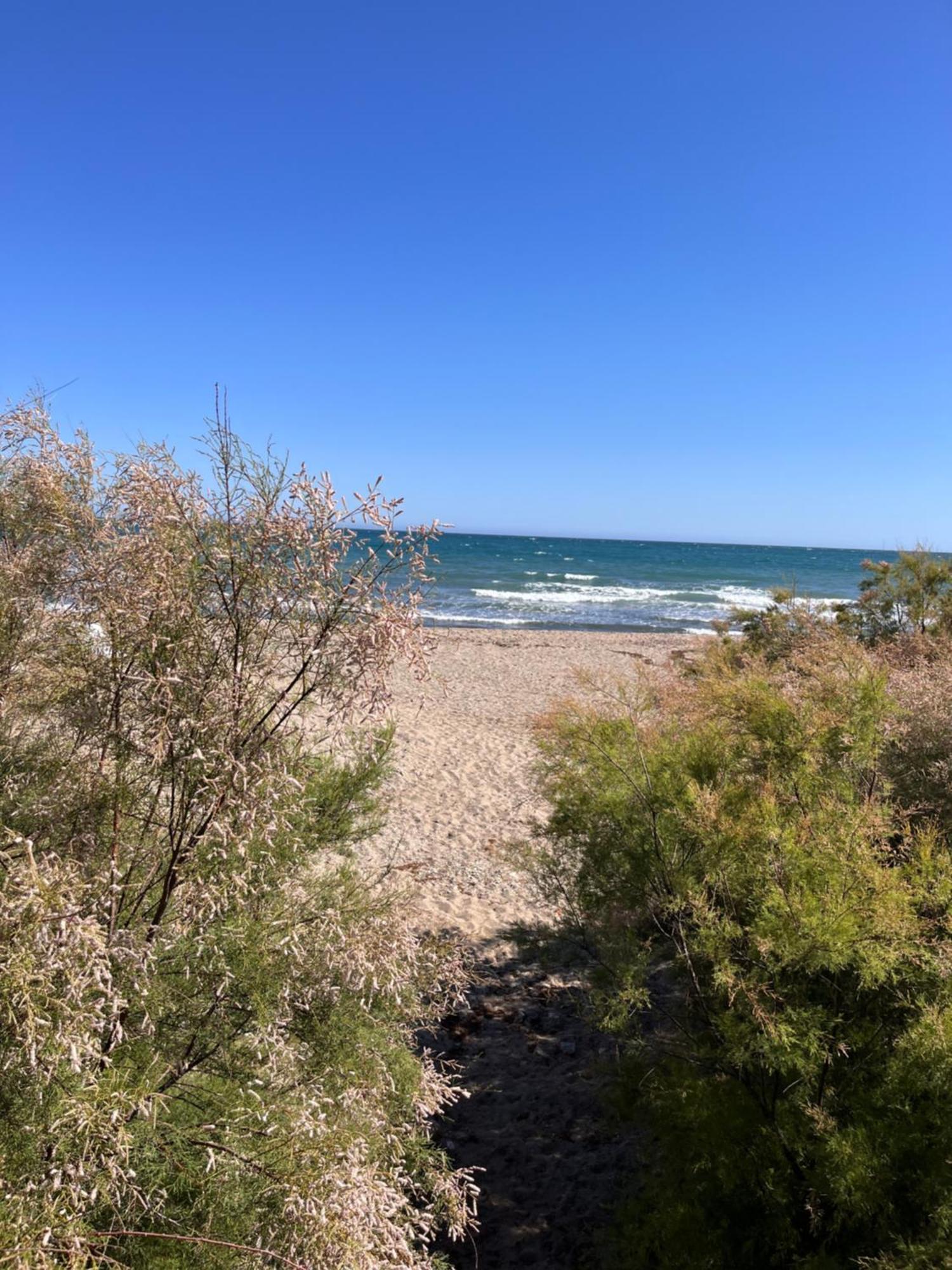 מאלגה Studio On The Beach Front מראה חיצוני תמונה
